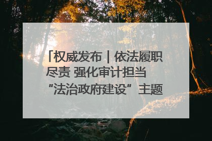 权威发布｜依法履职尽责 强化审计担当 “法治政府建设”主题系列新闻发布会市审计局专场召开